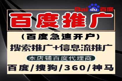 初探SEM推广代运营的多种成功模式